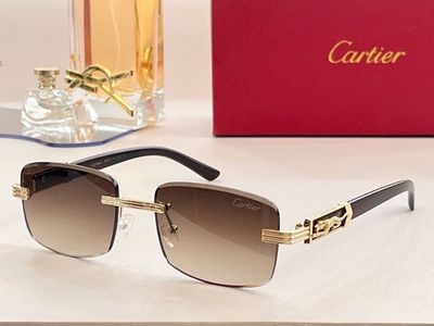 Cartier Sunglasses 772
